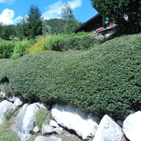 Privathaus Achensee By Interhome Vakantiehuis Achenkirch