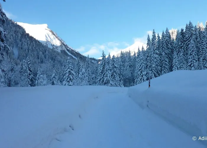 Privathaus Achensee By Interhome *