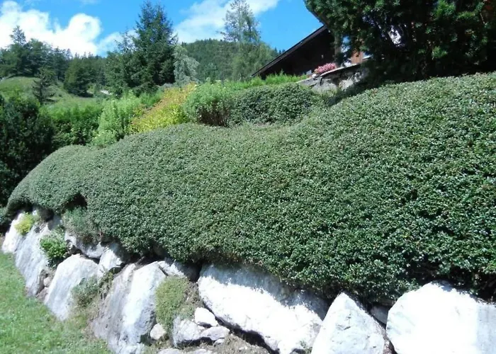 Privathaus Achensee By Interhome Holiday home Achenkirch